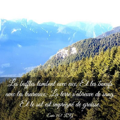 Picture 03 - Ésaïe 34:7 LSG - Les buffles tombent avec eux, Et les boeufs avec - Bible Verse Picture