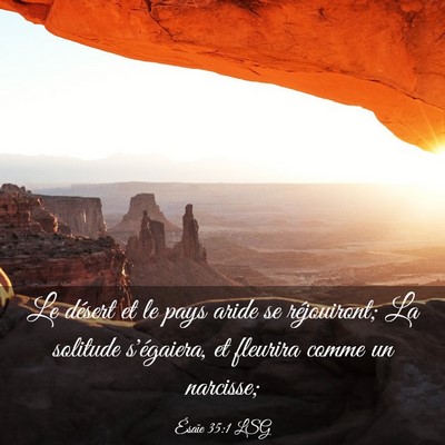 Picture 03 - Ésaïe 35:1 LSG - Le désert et le pays aride se réjouiront; La - Bible Verse Picture