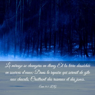Picture 03 - Ésaïe 35:7 LSG - Le mirage se changera en étang Et la terre - Bible Verse Picture