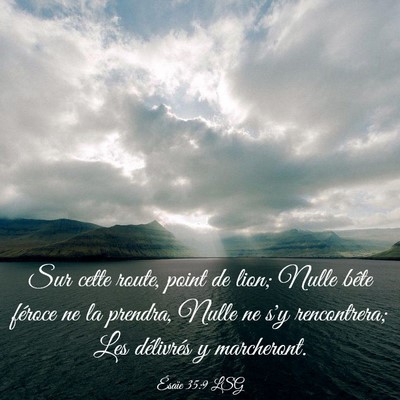 Picture 03 - Ésaïe 35:9 LSG - Sur cette route, point de lion; Nulle bête - Bible Verse Picture