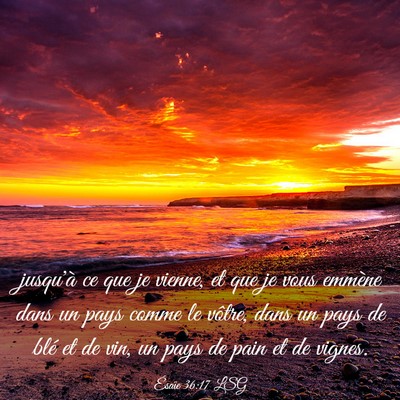 Picture 03 - Ésaïe 36:17 LSG - jusqu'à ce que je vienne, et que je vous emmène - Bible Verse Picture