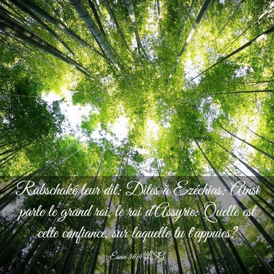 Picture 03 - Ésaïe 36:4 LSG - Rabschaké leur dit: Dites à Ezéchias: Ainsi - Bible Verse Picture