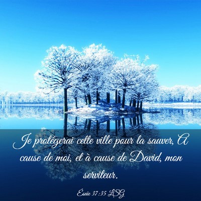 Picture 03 - Ésaïe 37:35 LSG - Je protégerai cette ville pour la sauver, A - Bible Verse Picture