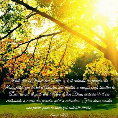 Picture 03 - Ésaïe 37:4 LSG - Peut-être l'Eternel, ton Dieu, a-t-il entendu - Bible Verse Picture