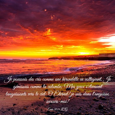 Picture 03 - Ésaïe 38:14 LSG - Je poussais des cris comme une hirondelle en - Bible Verse Picture