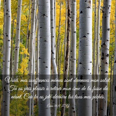 Picture 03 - Ésaïe 38:17 LSG - Voici, mes souffrances mêmes sont devenues mon - Bible Verse Picture