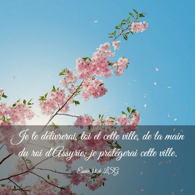 Picture 03 - Ésaïe 38:6 LSG - Je te délivrerai, toi et cette ville, de la main - Bible Verse Picture