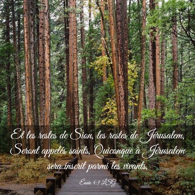 Picture 03 - Ésaïe 4:3 LSG - Et les restes de Sion, les restes de Jérusalem, - Bible Verse Picture