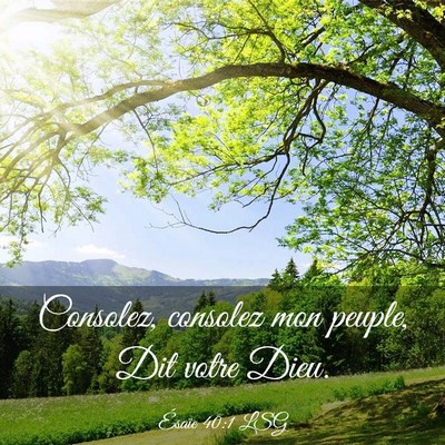 Picture 03 - Ésaïe 40:1 LSG - Consolez, consolez mon peuple, Dit votre - Bible Verse Picture
