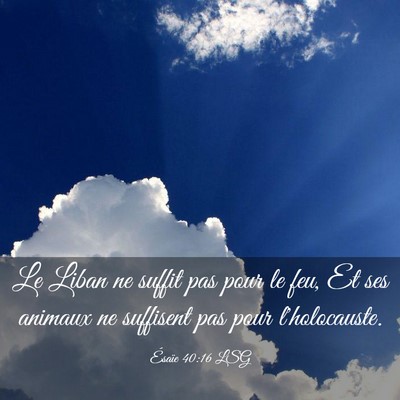 Picture 03 - Ésaïe 40:16 LSG - Le Liban ne suffit pas pour le feu, Et ses - Bible Verse Picture