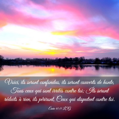 Picture 03 - Ésaïe 41:11 LSG - Voici, ils seront confondus, ils seront couverts - Bible Verse Picture