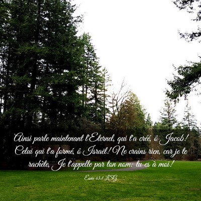 Picture 03 - Ésaïe 43:1 LSG - Ainsi parle maintenant l'Eternel, qui t'a créé, - Bible Verse Picture
