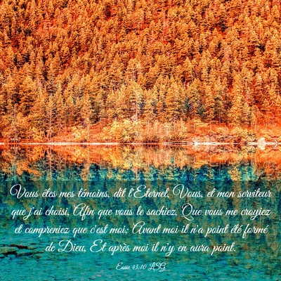 Picture 03 - Ésaïe 43:10 LSG - Vous êtes mes témoins, dit l'Eternel, Vous, et - Bible Verse Picture