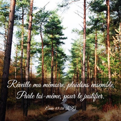 Picture 03 - Ésaïe 43:26 LSG - Réveille ma mémoire, plaidons ensemble, Parle - Bible Verse Picture