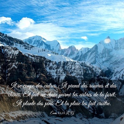 Picture 03 - Ésaïe 44:14 LSG - Il se coupe des cèdres, Il prend des rouvres et - Bible Verse Picture