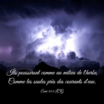 Picture 03 - Ésaïe 44:4 LSG - Ils pousseront comme au milieu de l'herbe, Comme - Bible Verse Picture