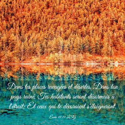 Picture 03 - Ésaïe 49:19 LSG - Dans tes places ravagées et désertes, Dans ton - Bible Verse Picture