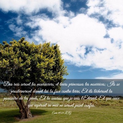 Picture 03 - Ésaïe 49:23 LSG - Des rois seront tes nourriciers, et leurs - Bible Verse Picture