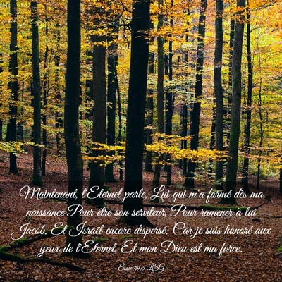 Picture 03 - Ésaïe 49:5 LSG - Maintenant, l'Eternel parle, Lui qui m'a formé - Bible Verse Picture