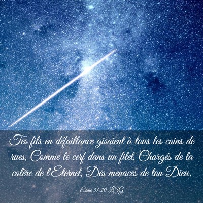 Picture 03 - Ésaïe 51:20 LSG - Tes fils en défaillance gisaient à tous les - Bible Verse Picture