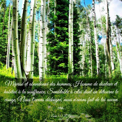 Picture 03 - Ésaïe 53:3 LSG - Méprisé et abandonné des hommes, Homme de - Bible Verse Picture
