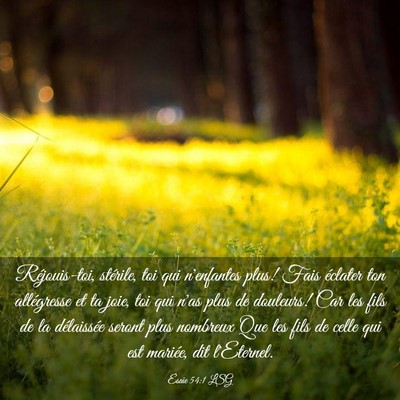 Picture 03 - Ésaïe 54:1 LSG - Réjouis-toi, stérile, toi qui n'enfantes plus! - Bible Verse Picture