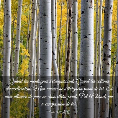 Picture 03 - Ésaïe 54:10 LSG - Quand les montagnes s'éloigneraient, Quand les - Bible Verse Picture