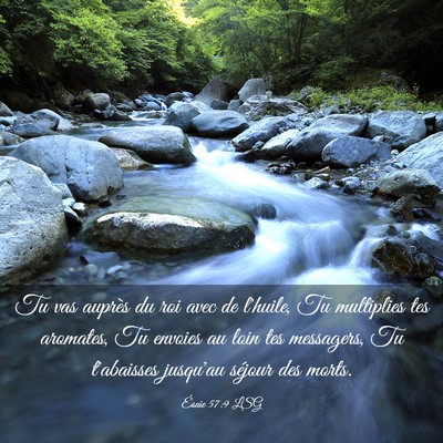 Picture 03 - Ésaïe 57:9 LSG - Tu vas auprès du roi avec de l'huile, Tu - Bible Verse Picture