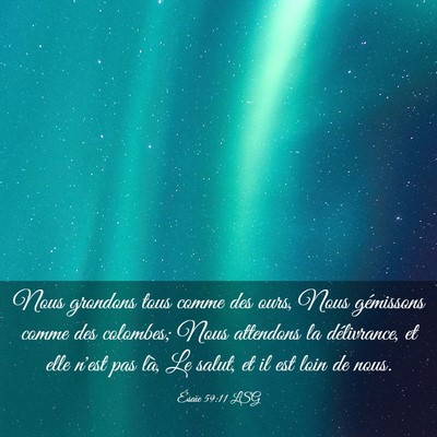 Picture 03 - Ésaïe 59:11 LSG - Nous grondons tous comme des ours, Nous - Bible Verse Picture