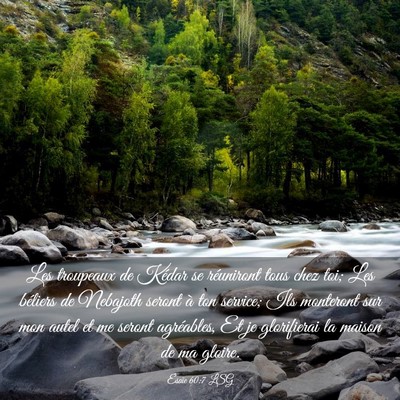 Picture 03 - Ésaïe 60:7 LSG - Les troupeaux de Kédar se réuniront tous chez - Bible Verse Picture