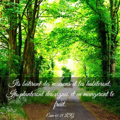 Picture 03 - Ésaïe 65:21 LSG - Ils bâtiront des maisons et les habiteront; Ils - Bible Verse Picture