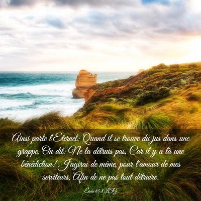 Picture 03 - Ésaïe 65:8 LSG - Ainsi parle l'Eternel: Quand il se trouve du jus - Bible Verse Picture