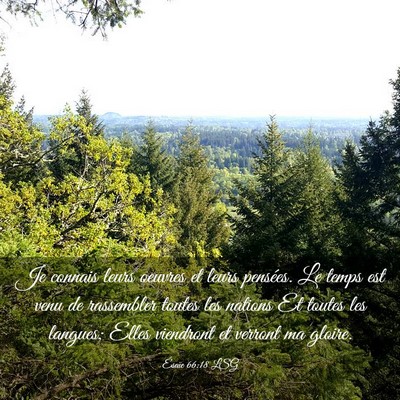 Picture 03 - Ésaïe 66:18 LSG - Je connais leurs oeuvres et leurs pensées. Le - Bible Verse Picture