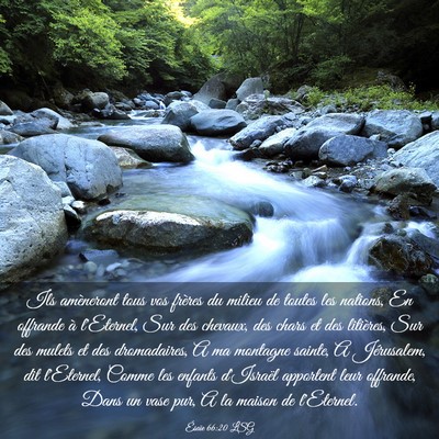 Picture 03 - Ésaïe 66:20 LSG - Ils amèneront tous vos frères du milieu de - Bible Verse Picture