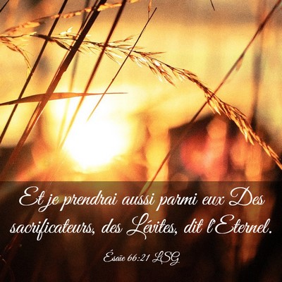 Picture 03 - Ésaïe 66:21 LSG - Et je prendrai aussi parmi eux Des - Bible Verse Picture