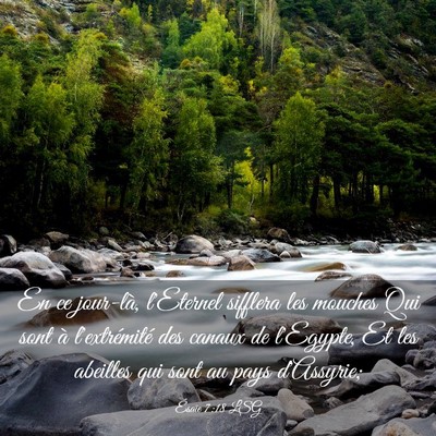 Picture 03 - Ésaïe 7:18 LSG - En ce jour-là, l'Eternel sifflera les mouches - Bible Verse Picture