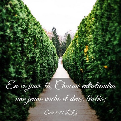 Picture 03 - Ésaïe 7:21 LSG - En ce jour-là, Chacun entretiendra une jeune - Bible Verse Picture