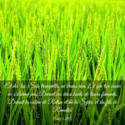 Picture 03 - Ésaïe 7:4 LSG - Et dis-lui: Sois tranquille, ne crains rien, Et - Bible Verse Picture