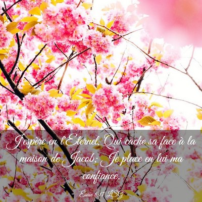 Picture 03 - Ésaïe 8:17 LSG - J'espère en l'Eternel, Qui cache sa face à la - Bible Verse Picture