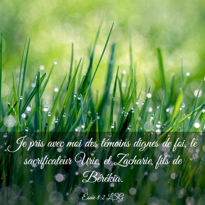 Picture 03 - Ésaïe 8:2 LSG - Je pris avec moi des témoins dignes de foi, le - Bible Verse Picture