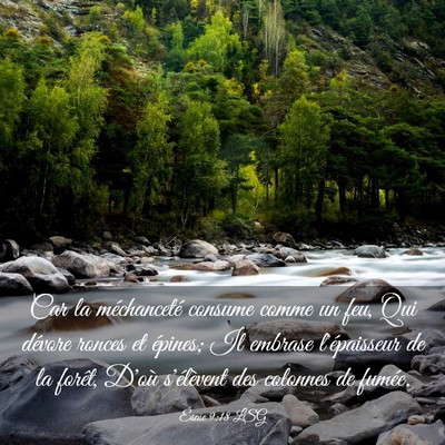 Picture 03 - Ésaïe 9:18 LSG - Car la méchanceté consume comme un feu, Qui - Bible Verse Picture