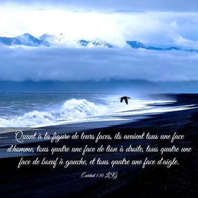 Picture 03 - Ézéchiel 1:10 LSG - Quant à la figure de leurs faces, ils avaient - Bible Verse Picture