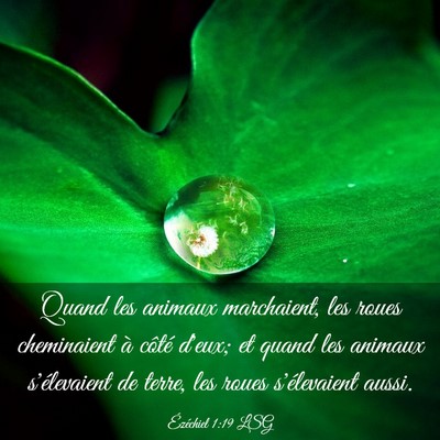 Picture 03 - Ézéchiel 1:19 LSG - Quand les animaux marchaient, les roues - Bible Verse Picture