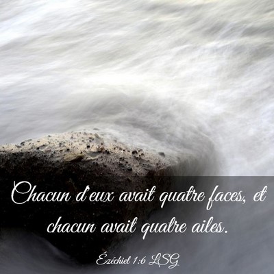 Picture 03 - Ézéchiel 1:6 LSG - Chacun d'eux avait quatre faces, et chacun avait - Bible Verse Picture