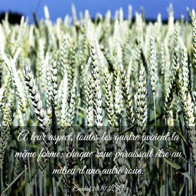 Picture 03 - Ézéchiel 10:10 LSG - A leur aspect, toutes les quatre avaient la même - Bible Verse Picture