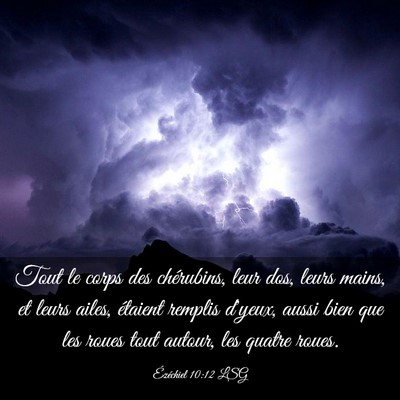 Picture 03 - Ézéchiel 10:12 LSG - Tout le corps des chérubins, leur dos, leurs - Bible Verse Picture