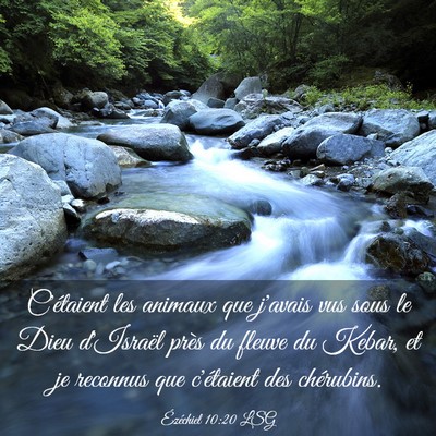 Picture 03 - Ézéchiel 10:20 LSG - C'étaient les animaux que j'avais vus sous le - Bible Verse Picture