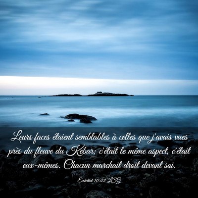Picture 03 - Ézéchiel 10:22 LSG - Leurs faces étaient semblables à celles que - Bible Verse Picture