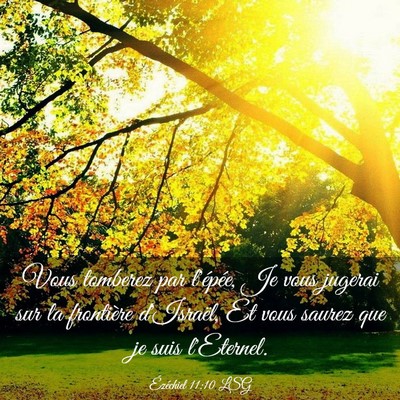 Picture 03 - Ézéchiel 11:10 LSG - Vous tomberez par l'épée, Je vous jugerai sur - Bible Verse Picture