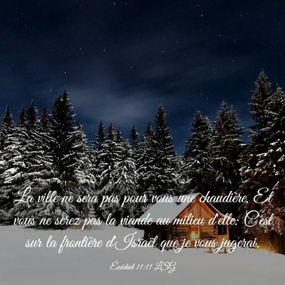 Picture 03 - Ézéchiel 11:11 LSG - La ville ne sera pas pour vous une chaudière, Et - Bible Verse Picture